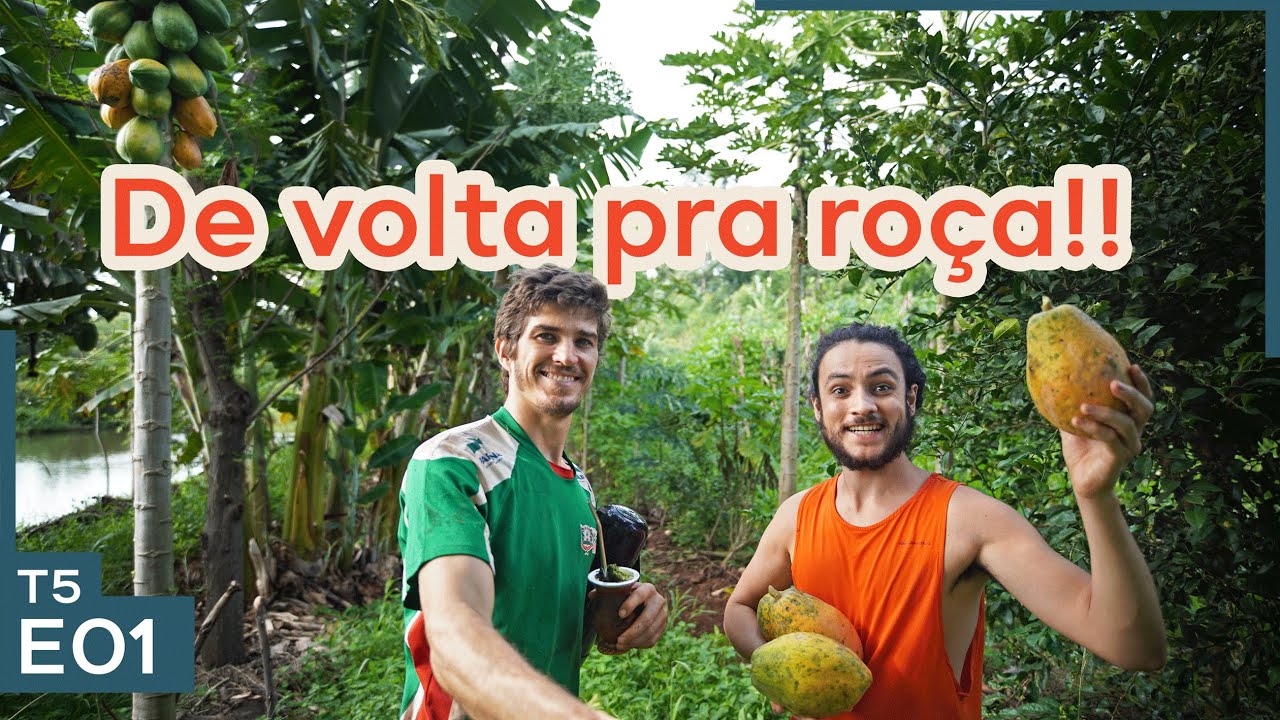 Tour pelo sítio depois de um ano sem mostrar nada