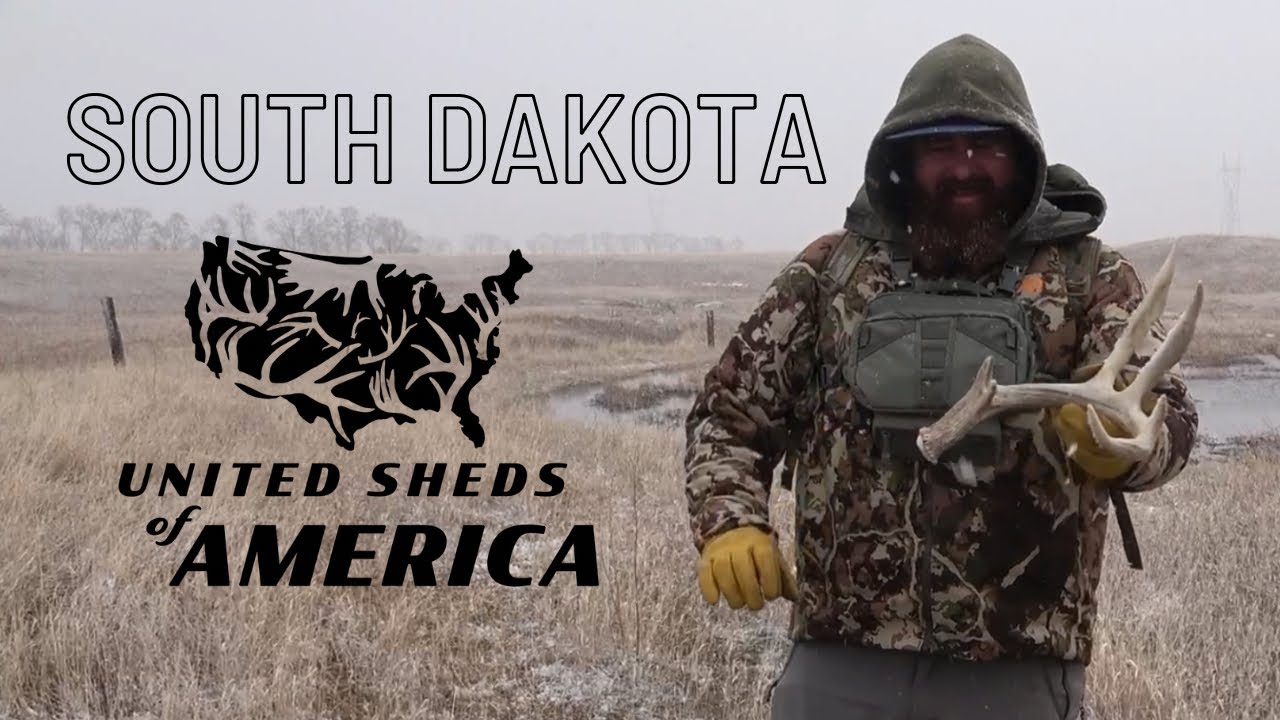 SHEDS EVERYWHERE (TOO EASY?)