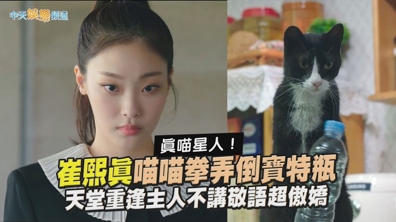 【劇透社】真喵星人！崔熙真喵喵拳弄倒寶特瓶 天堂重逢主人不講敬語超傲嬌｜比天堂還美麗