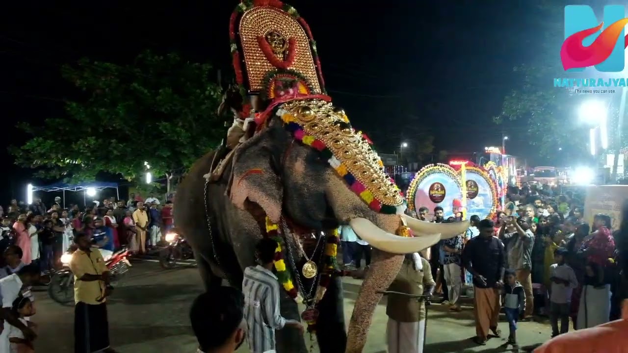 മണക്കാട് തിരുൽത്സവം മുല്ലക്കിലോയ്ക്കുള്ള എഴുന്നിള്ളത്ത്