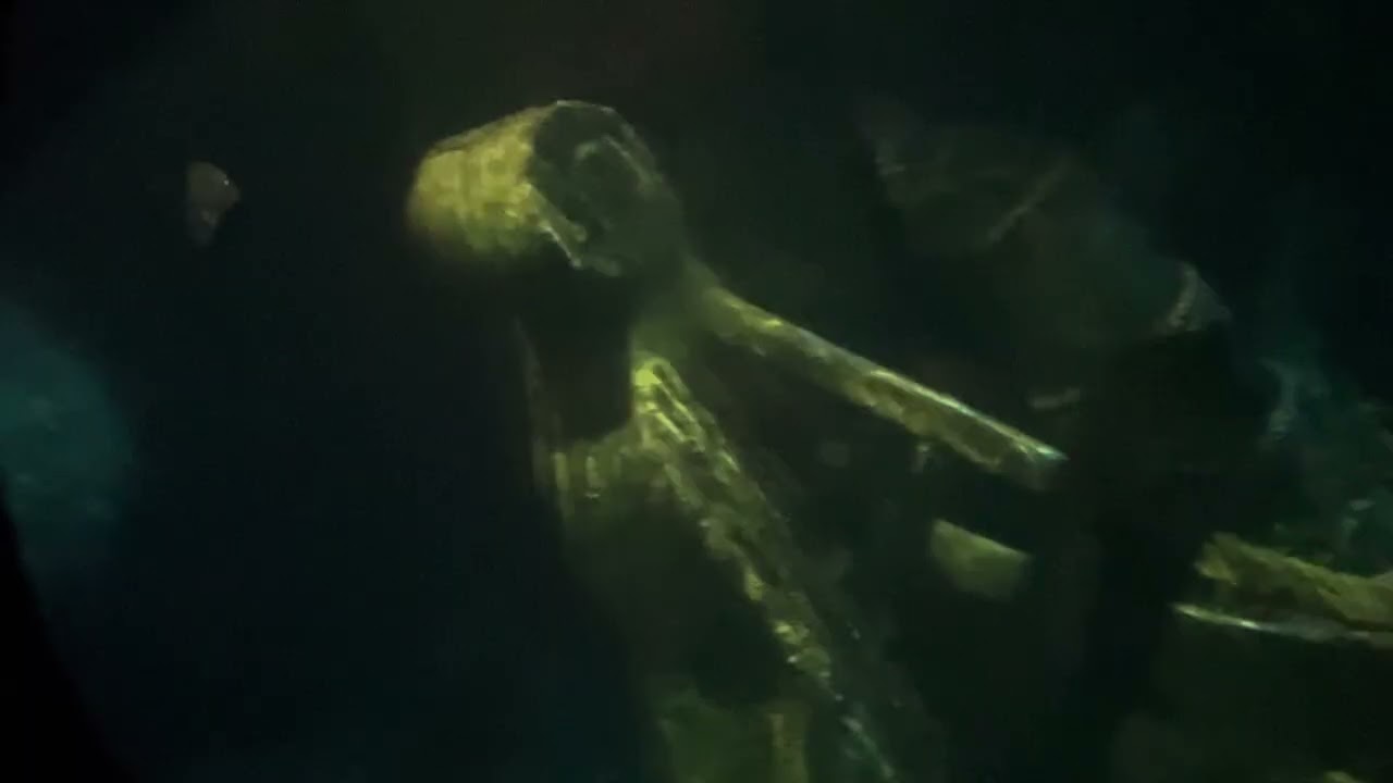 Finding Nemo Ride, Disneyland Park, Anaheim, California, January 7th, 2026