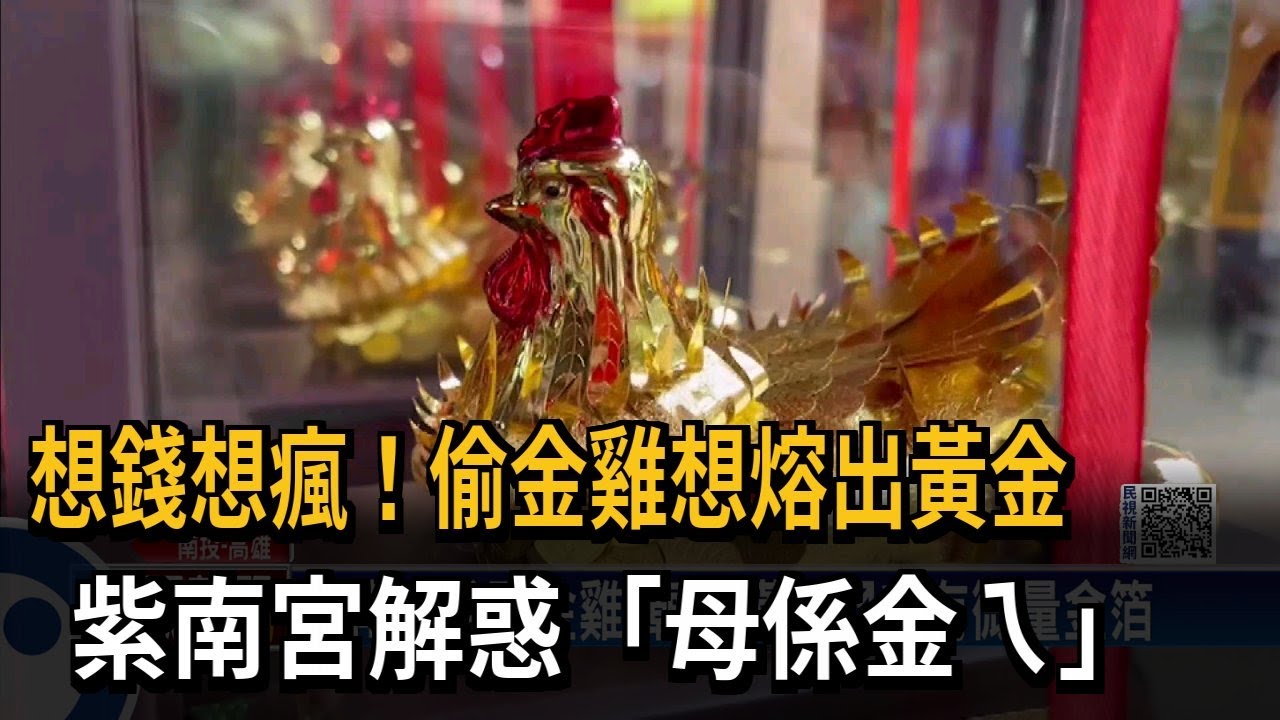 想錢想瘋！偷金雞想熔出黃金　紫南宮解惑「母係金ㄟ」－民視新聞