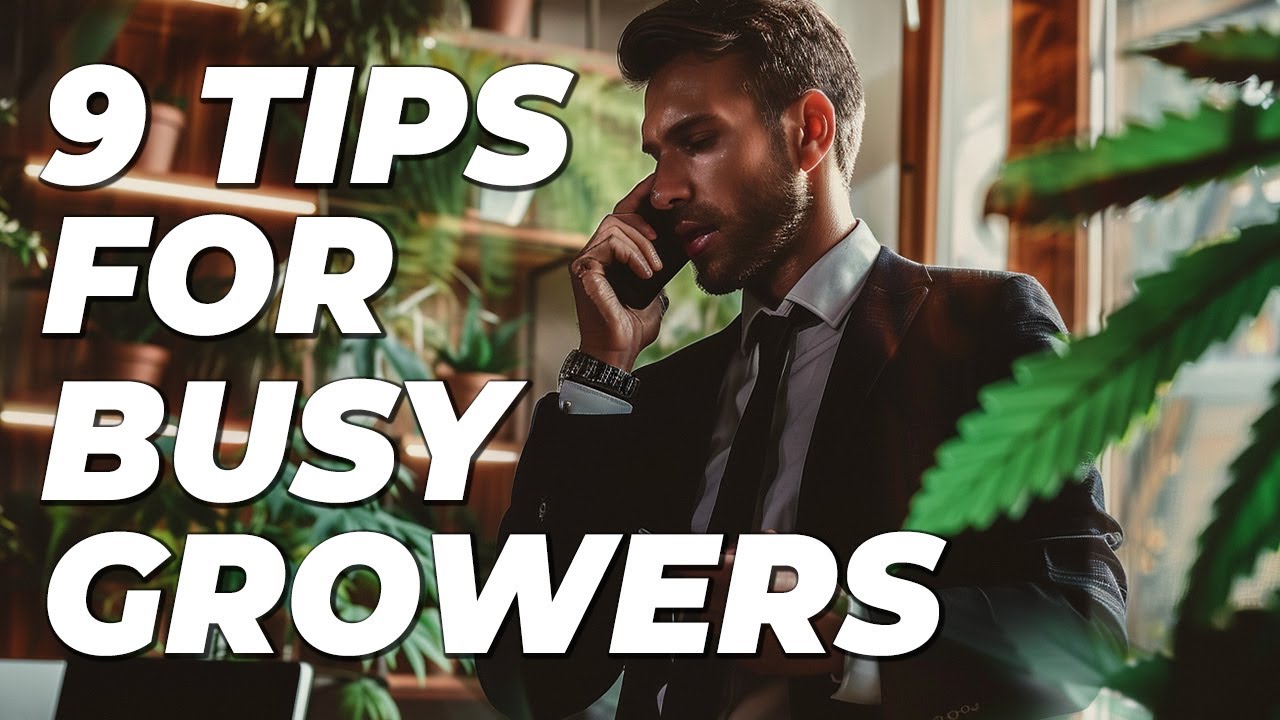 9 Time-Saving Tips for Busy Weed Growers