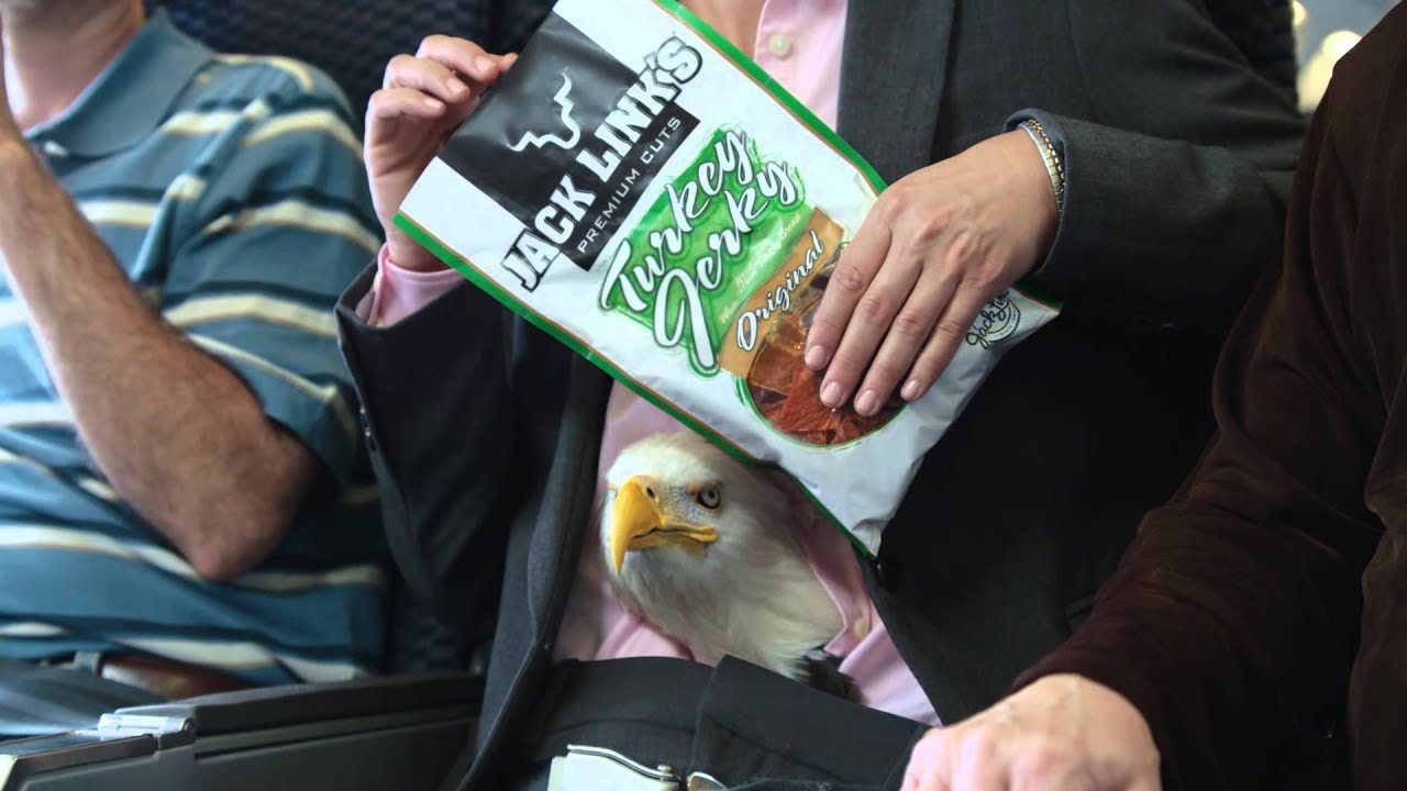 Eagle Pops Out of Woman's Stomach