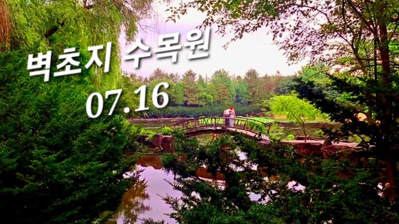 ☘️ 경기 - 파주 벽초지 수목원 | 수련 | 식물카페 | 당일치기 국내여행 | Day Trip Domestic Travel