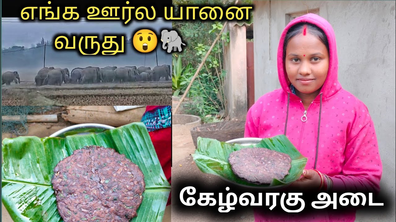 Tamil Recipe கேழ்வரகு அடை 😋 & இங்க இருக்குறவங்களோட Reaction பாருங்க.