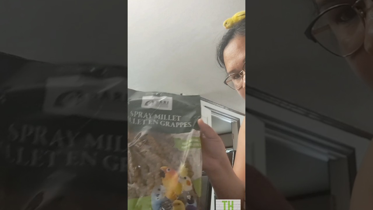 Pet birds Excited to their food‼️