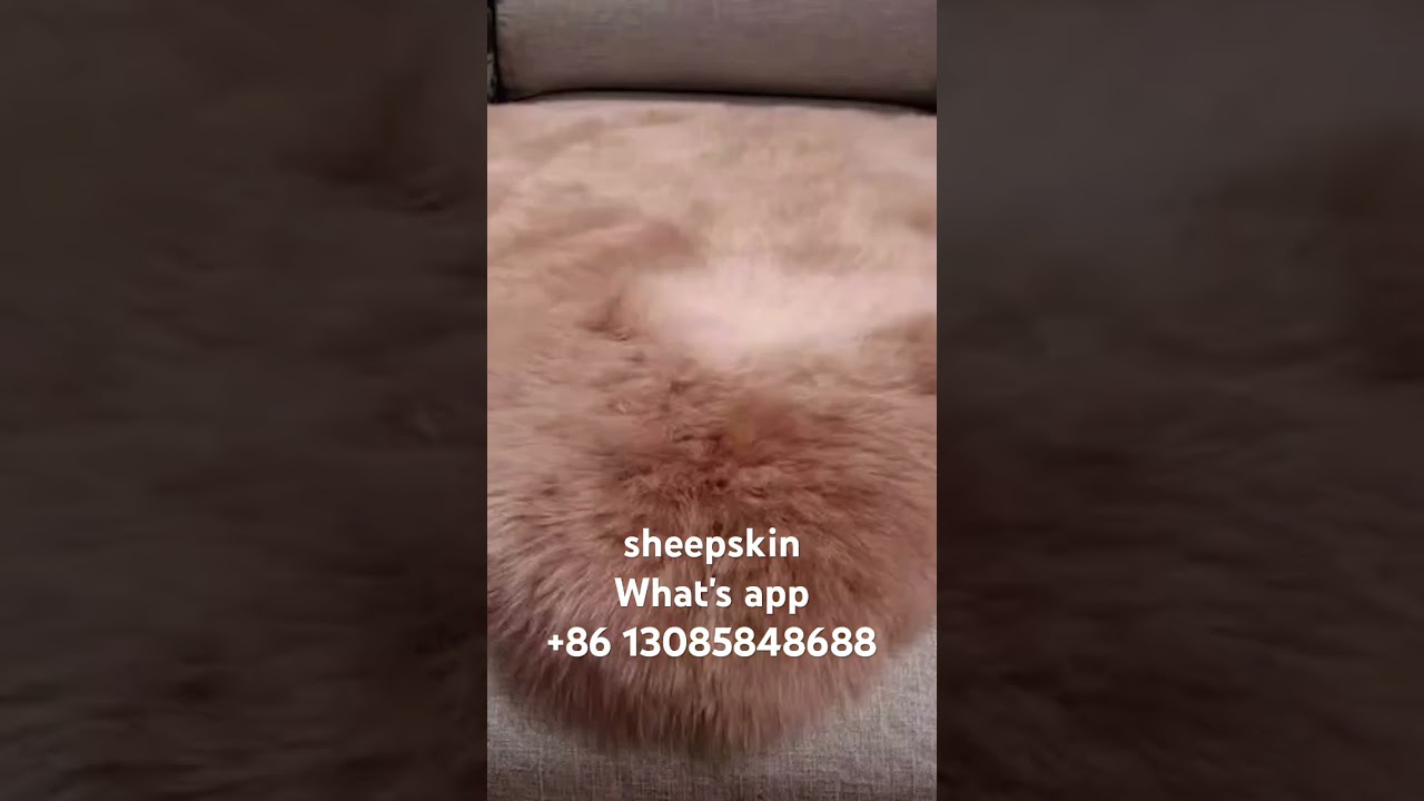 sheepskin fur rug，low price high quality,love it？ Contact me.