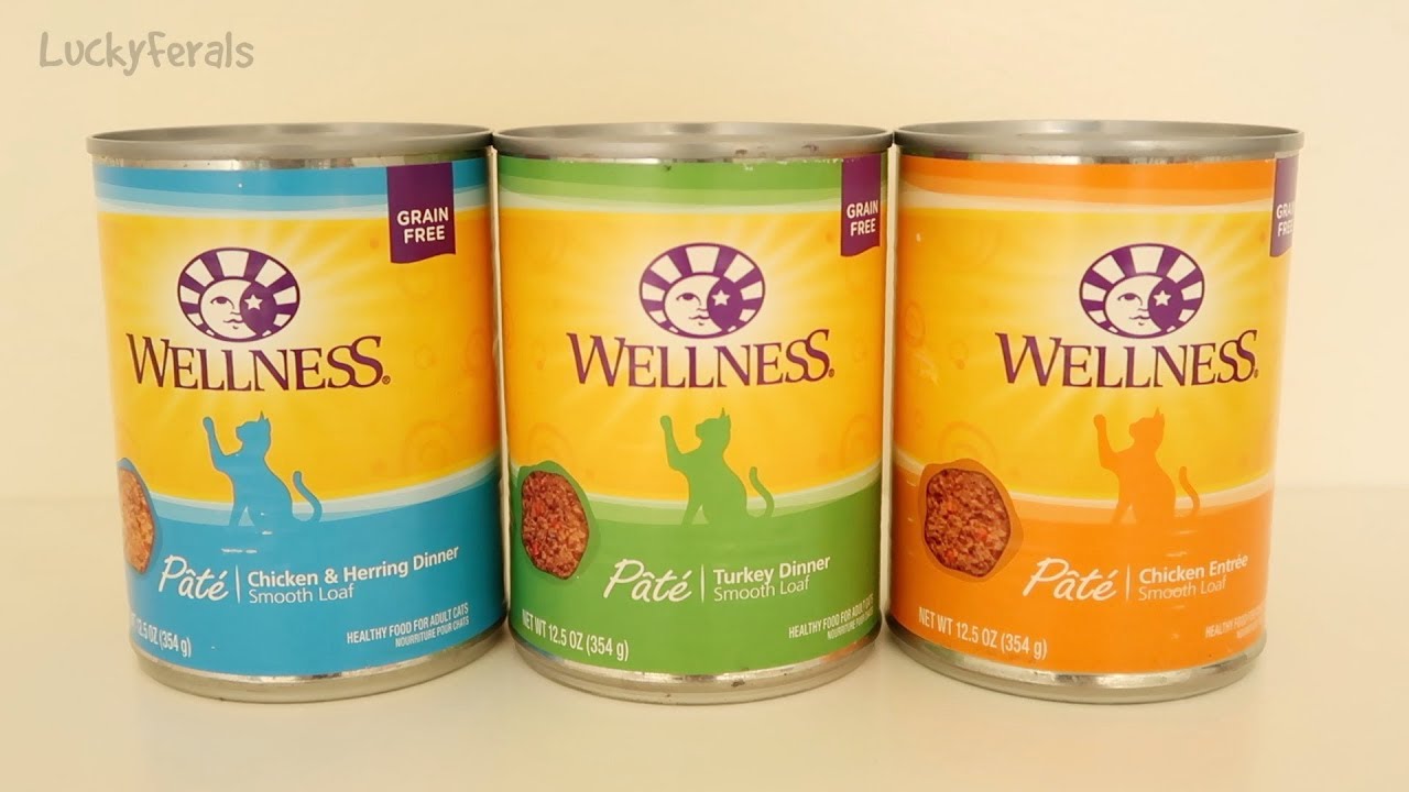 PetSmart Cheapest Healthy Canned Cat Food - Wellness Cat Food Taste Test And Review