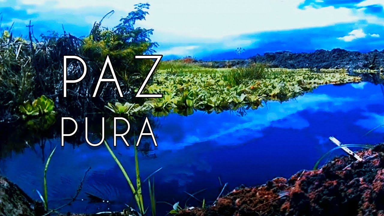 ​Naturaleza Viva: Sonidos de Humedal y Agua para una Relajación Profunda (1 Hora)