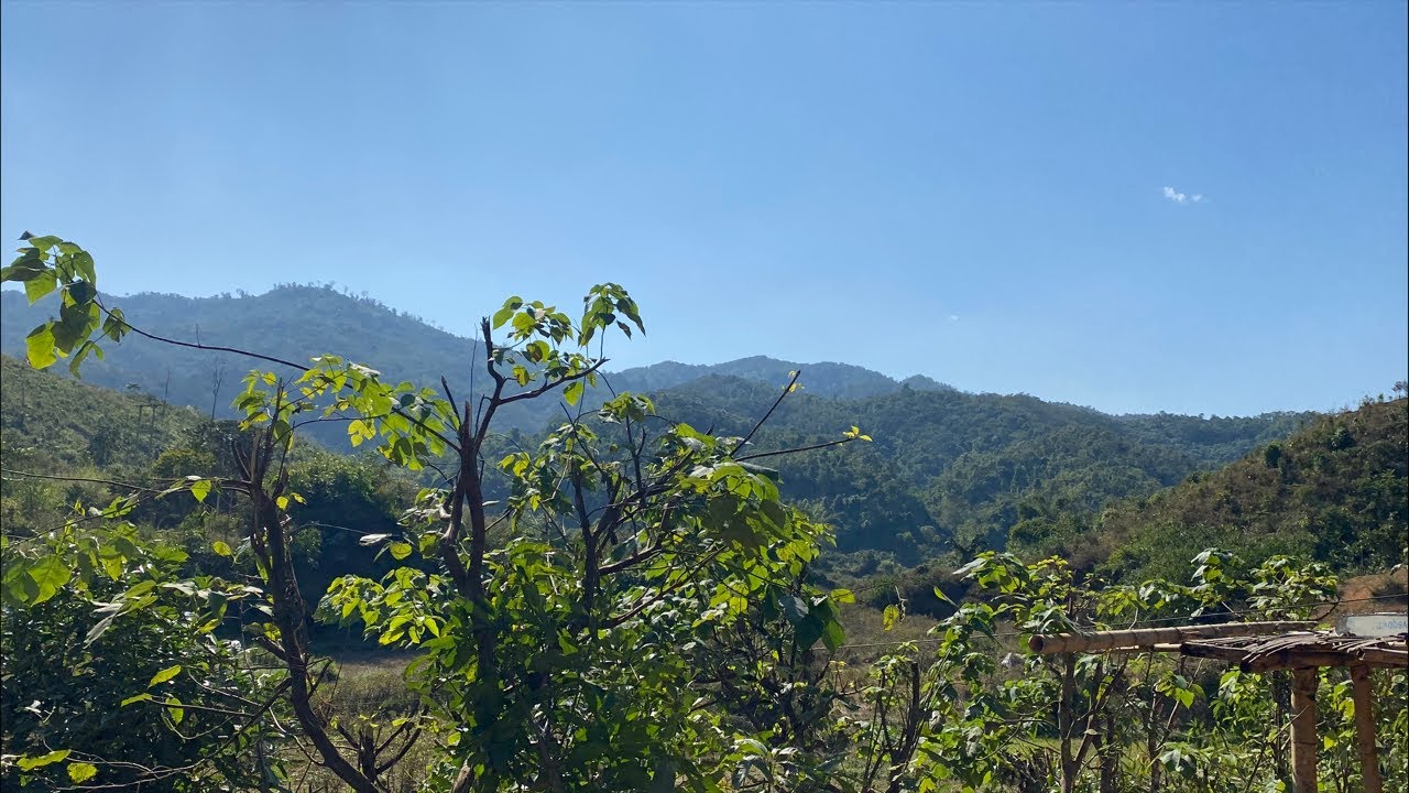 Tư Đen TV CHÚC ÔNG BÀ CÔ CHÚ CUỐI TUẦN VUI VẺ SỨC KHỎE