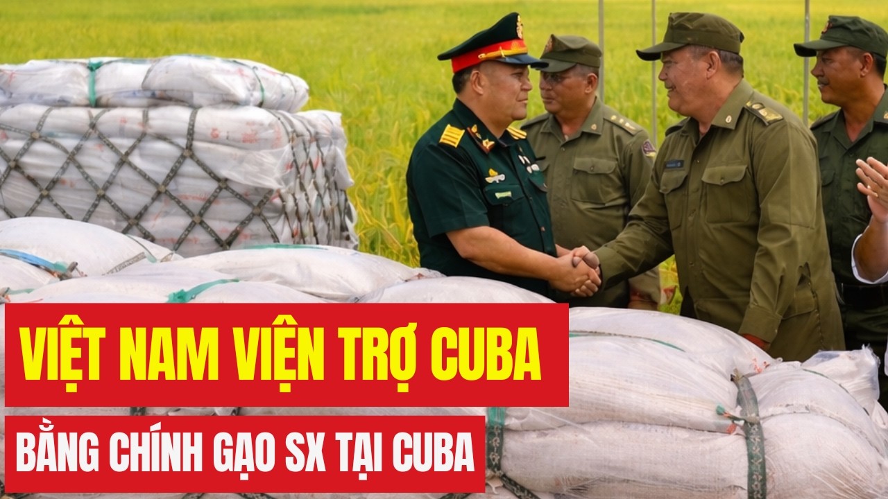 Việt Nam Viện Trợ Cuba Bằng Chính Gạo Cuba. Lý Do Khiến Nhiều Người Sững Sờ!