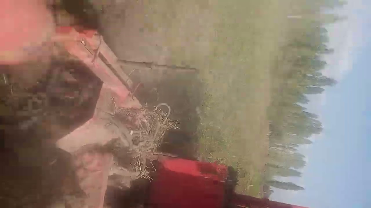 Styer 8073 torunoğlu makina ile pancar hasatı