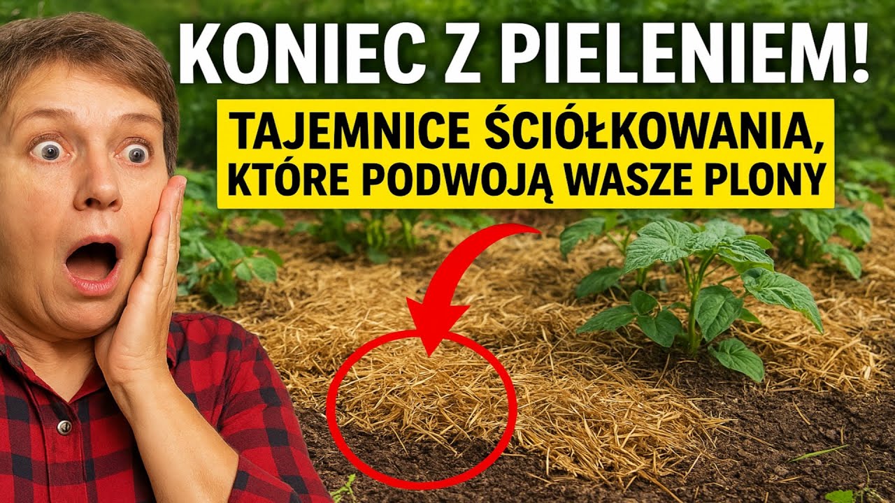Koniec z pieleniem! Tajemnice ściółkowania, które podwoją wasze plony.