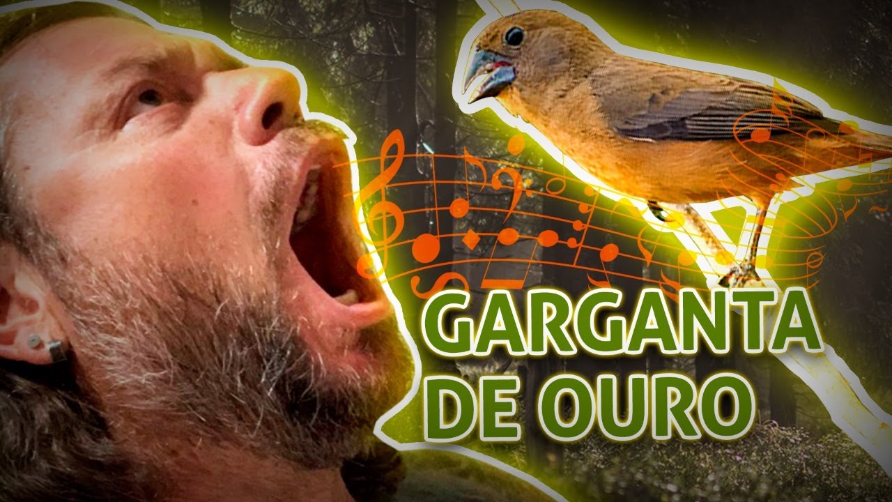CURIÓ GARGANTA DE OURO! | RICHARD RASMUSSEN