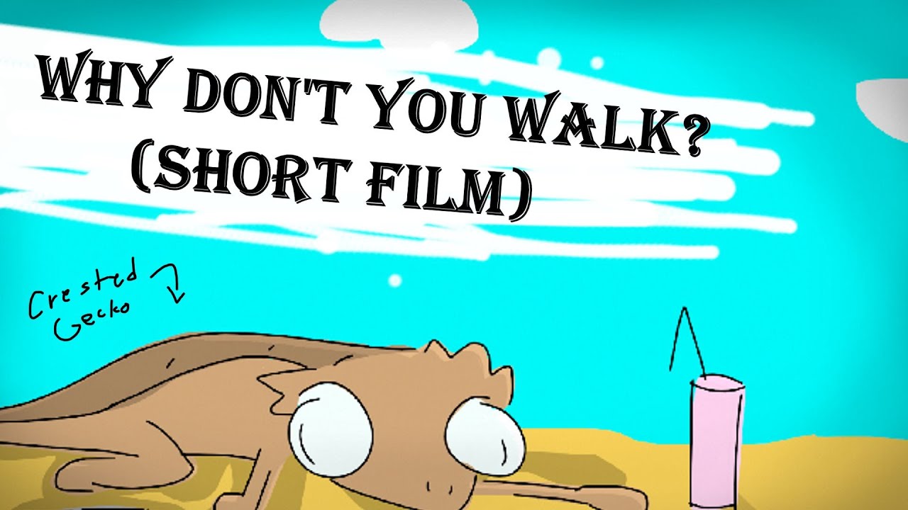 Why don't you walk? (Crested Gecko Animation Short Film)