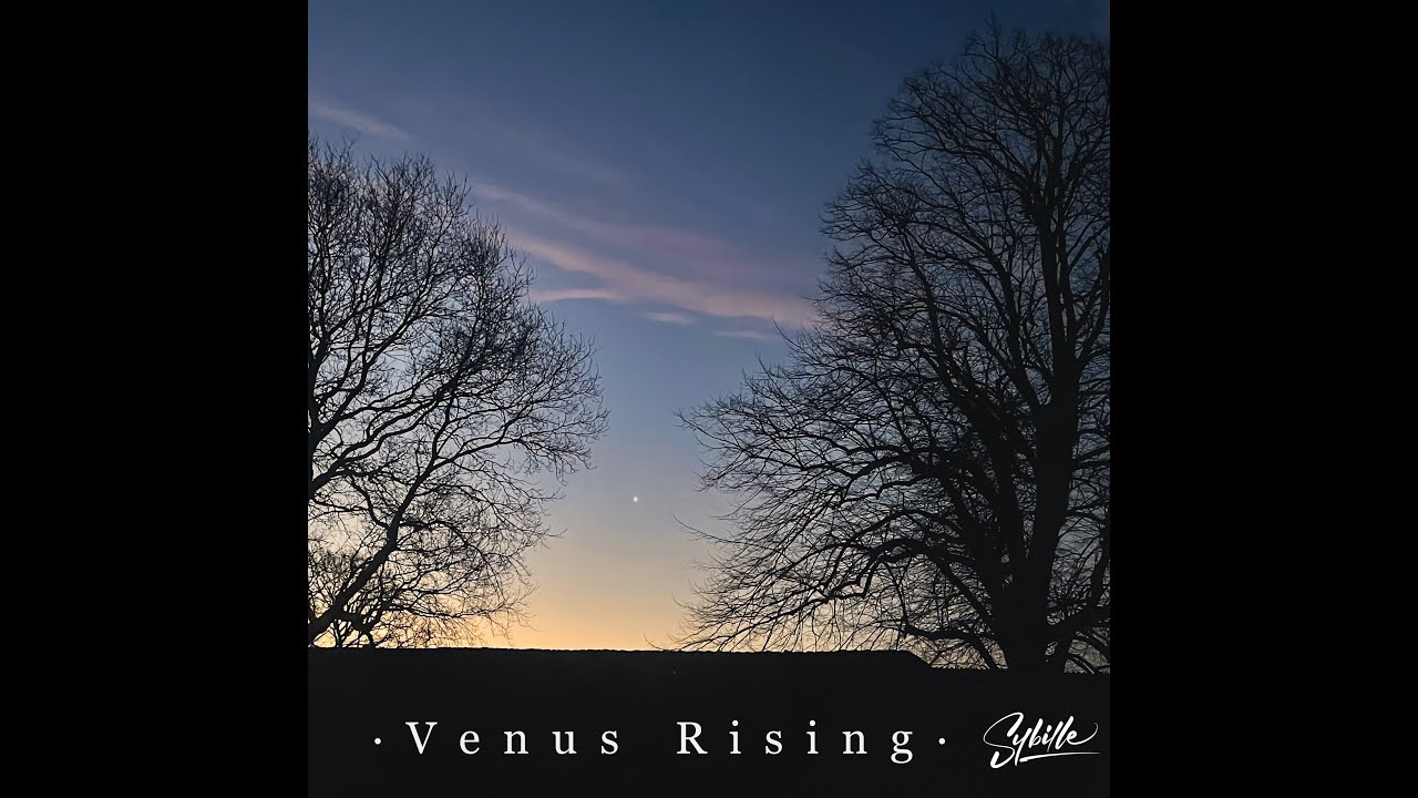 Venus Rising &middot;  Sybille