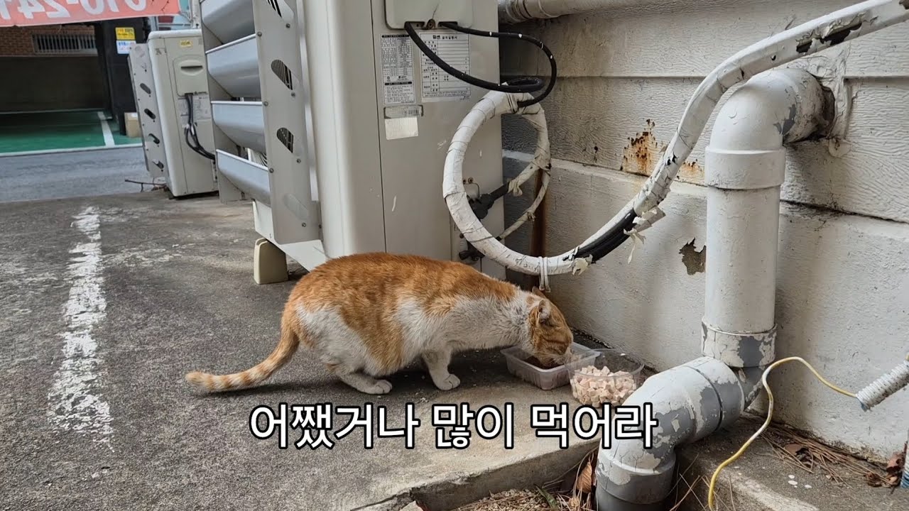 지켜주려 하면 할수록 힘들어져요..