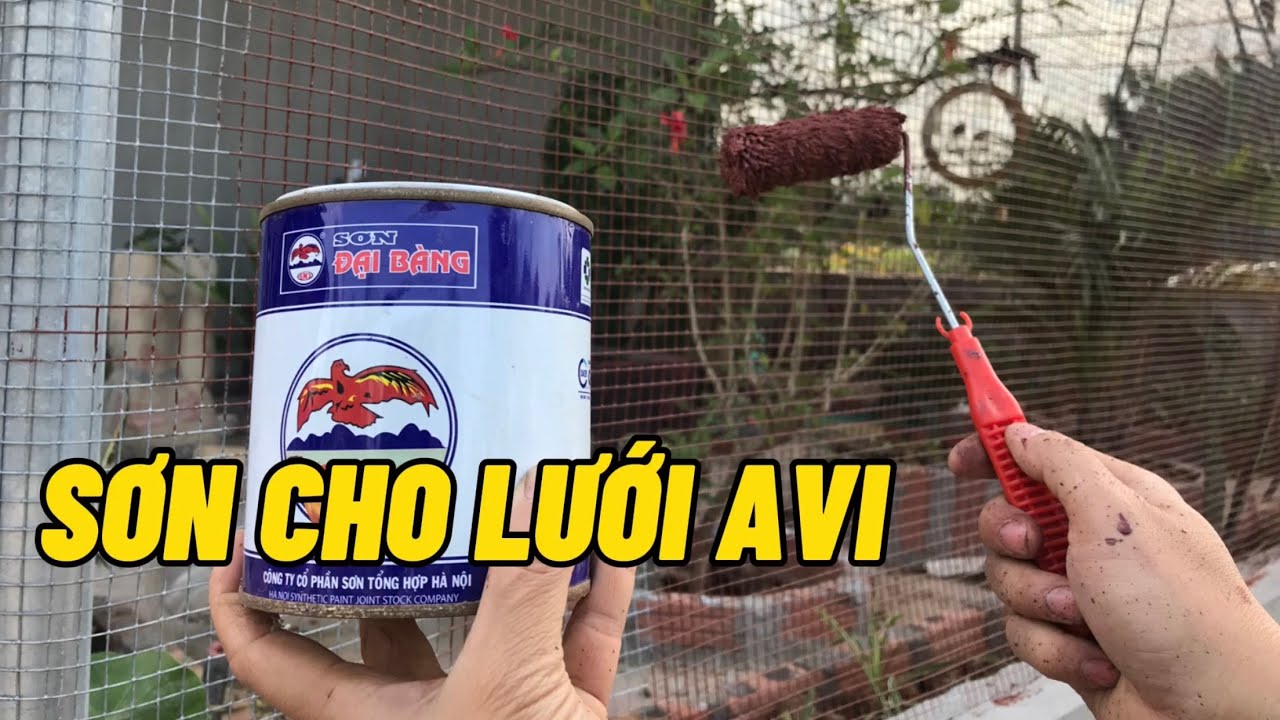 Sơn cho lưới của avi chim để bảo vệ lưới được bền đẹp