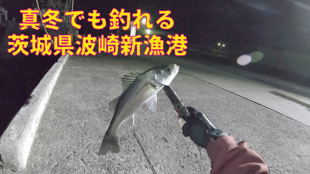 真冬でも釣れる【波崎新漁港】
