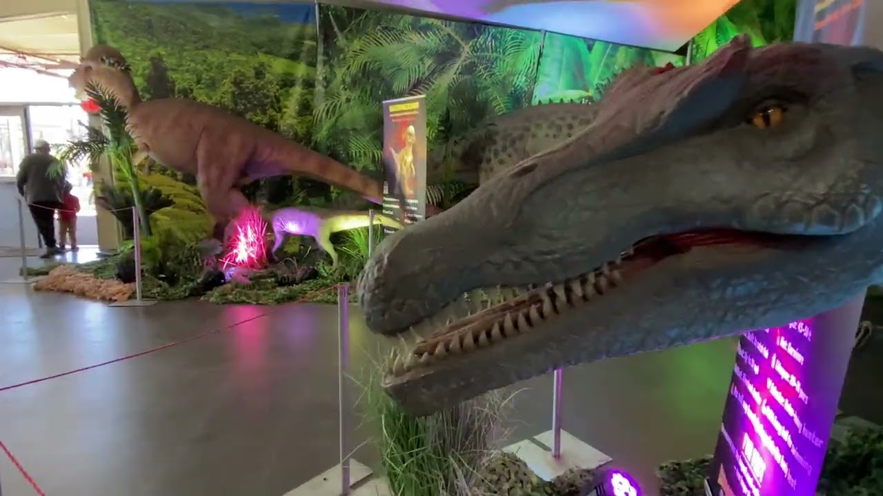 Paseando con mi hijo