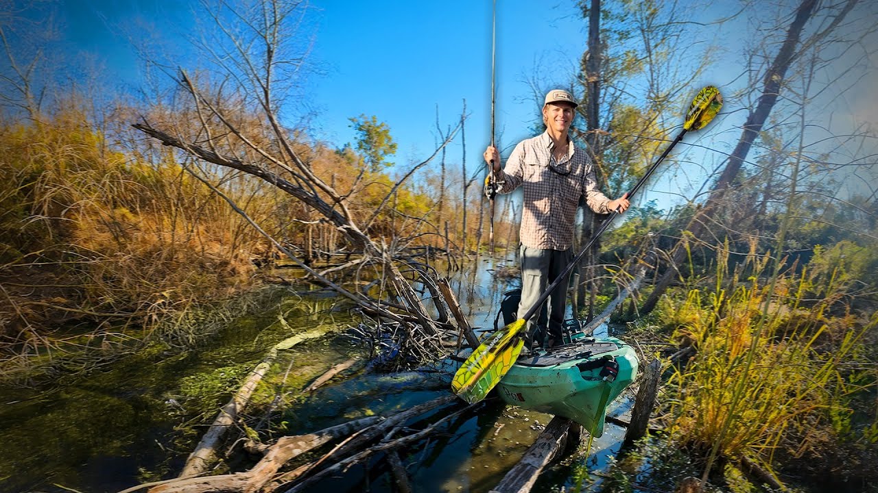 This Flooded Forest Is Infested With Fish