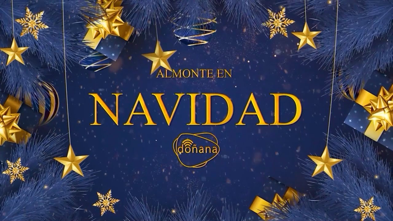 NAVIDAD 2025 - Fiesta Fin de Año Infantil en la Plaza Virgen del Rocío, Almonte