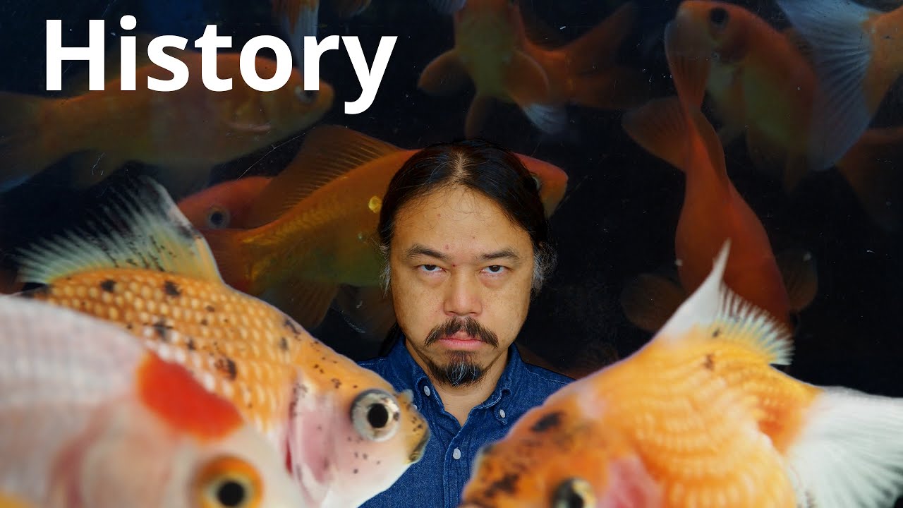 【Goldfish EvoDevo】 #01 History【Re-Edited Audio】