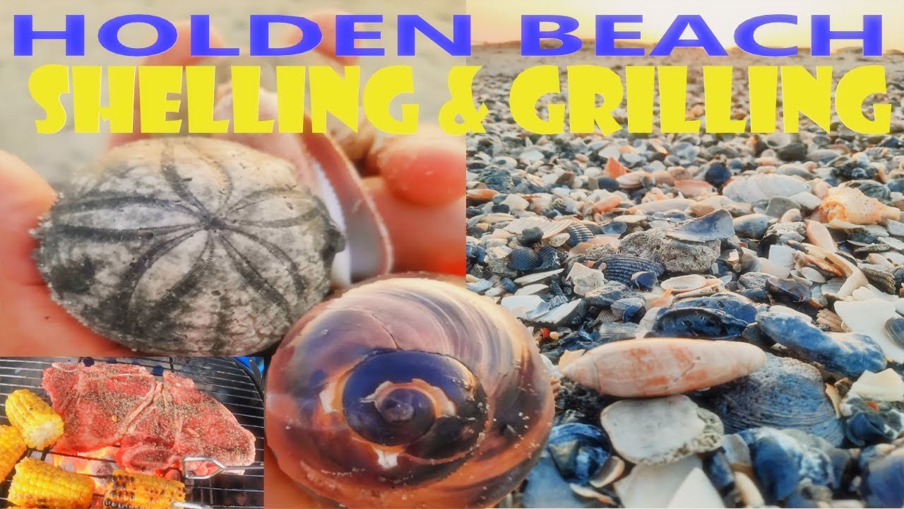Shelling & Fossil Hunting AFTER Beach DREDGING/RENOURISHMENT Holden Beach, NC (Shell, Sort, Grill)