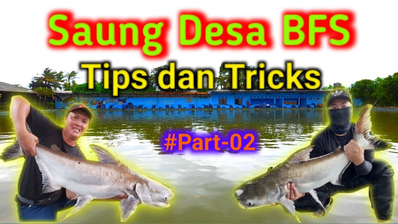 Saung Desa Big Fish Strike - Tips dan Tricks. Part-02