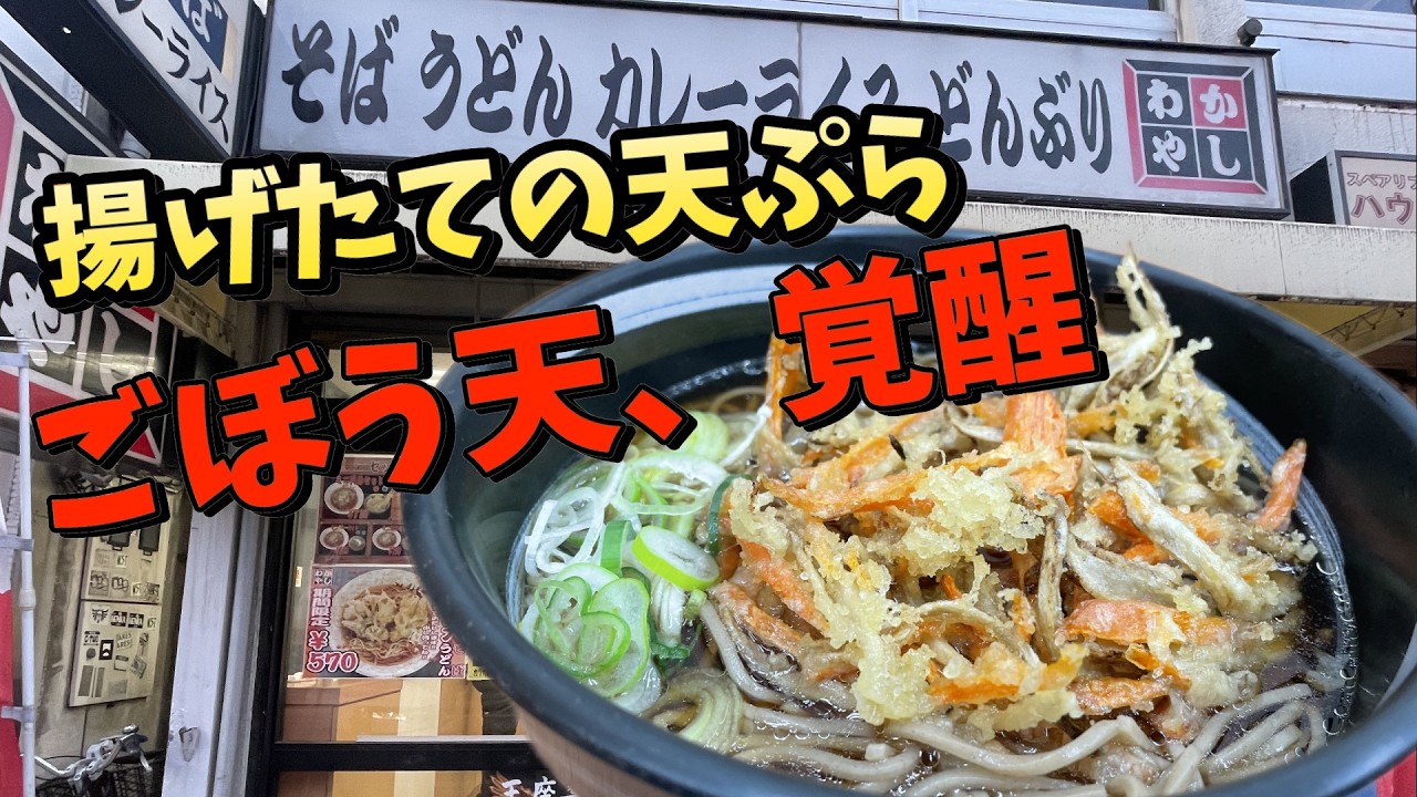 【女ひとり】300円から食べられる至高の一杯　揚げたてのごぼう天旨すぎる　武蔵新城　かしわや