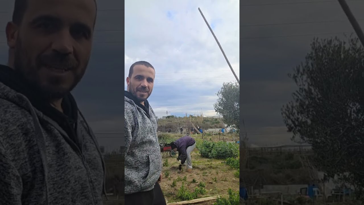 🚜 LIMPIANDO nuestra parcela desde cero: Preparando la tierra para el HUERTO 🌿