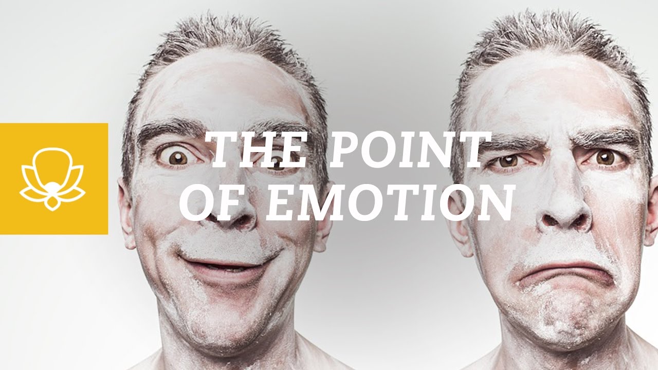 The Purpose of Emotions: Why We Have Emotions | Controlling Emotion | Understanding Emotion