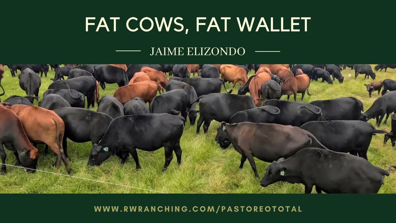 Fertilizantes foliares para reducir costos