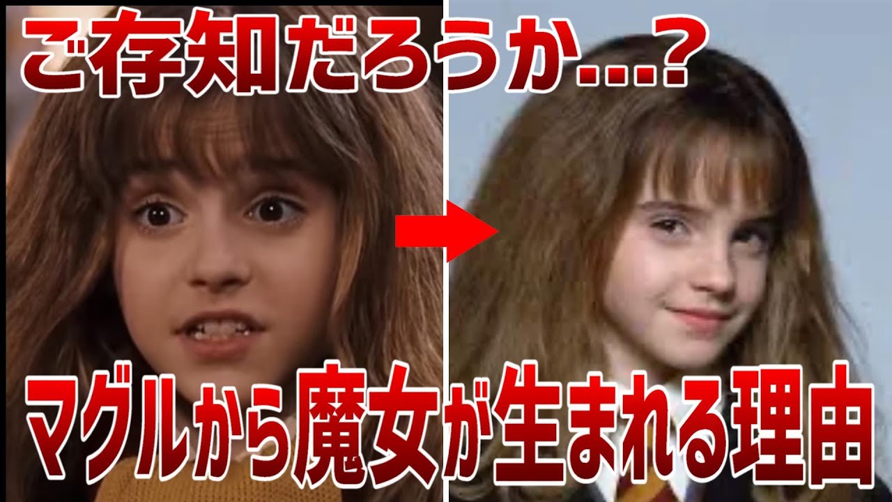 マグルから魔女が生まれる理由…ハーマイオニーの生い立ちとは？