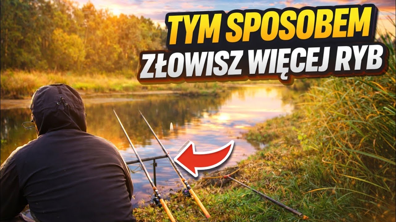 Ochłodzenie im nie straszne!