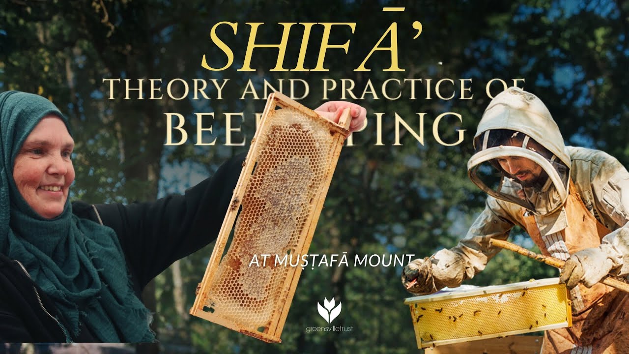 Beekeeping Course at Muṣṭafā Mount - Kim Shawkat (Student Reaction)