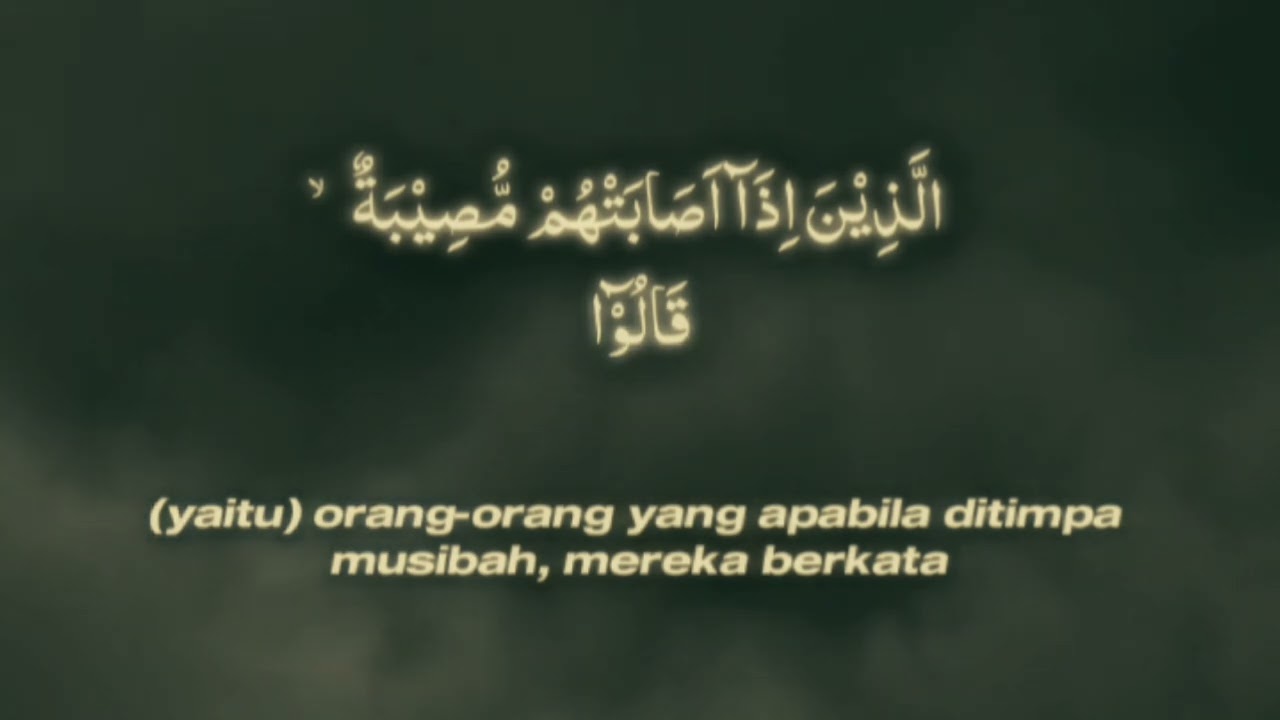 VIDEO PENDEK : 