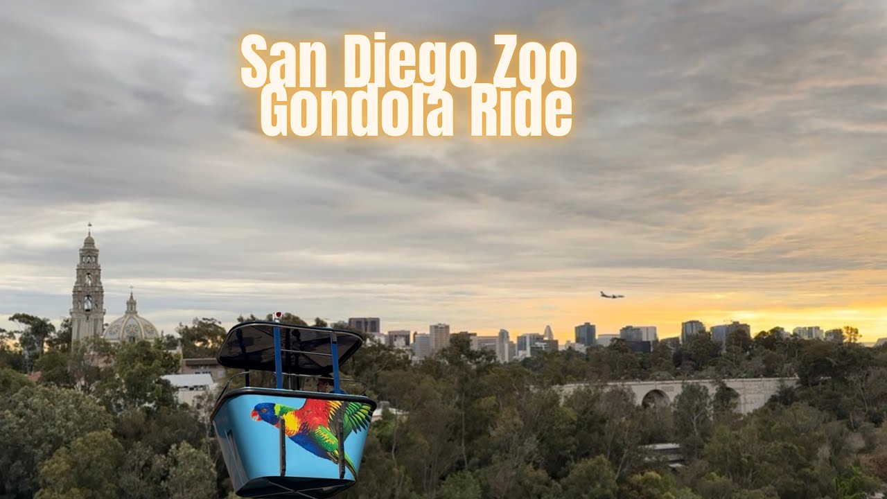 Flying Over the Animals! Skifari Gondola POV at the San Diego Zoo!