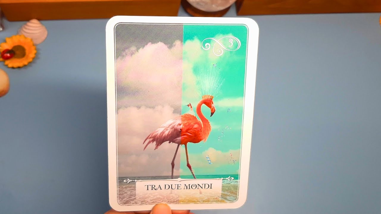 🔮Stai per ricevere una notizia bellissima che ti lascerà senza parole✨