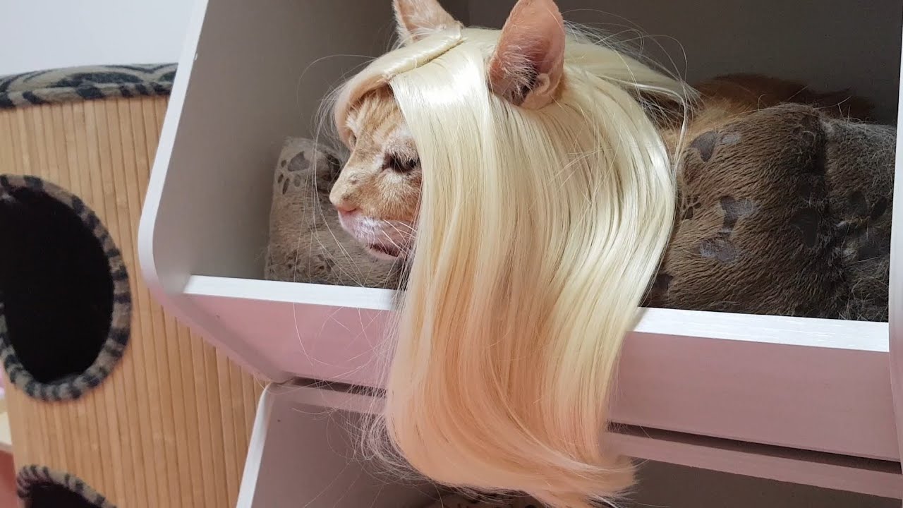 무념무상 금발머리 할배어르신