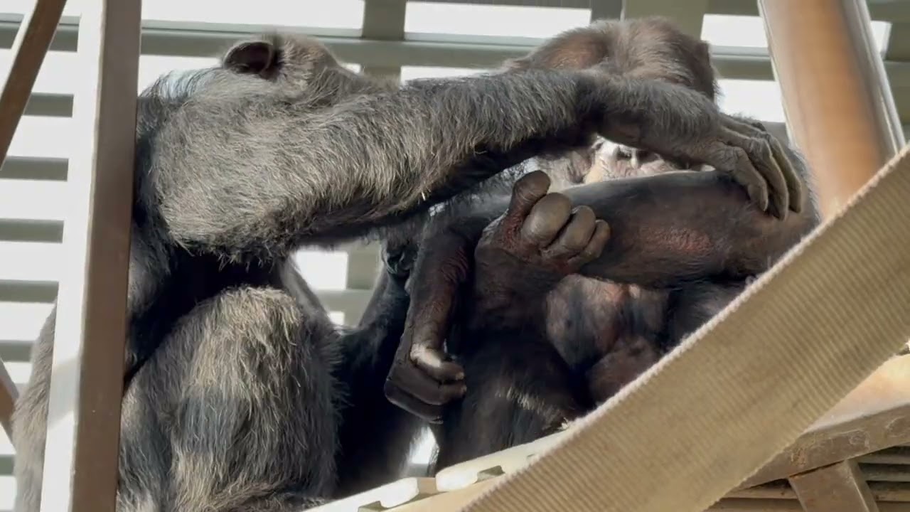 Easy Like A Sunday Morning