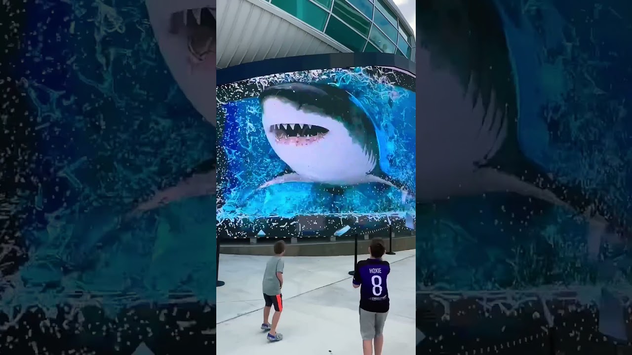 SHARKS ATTACK! Incredible 3D Billboard in Nassau