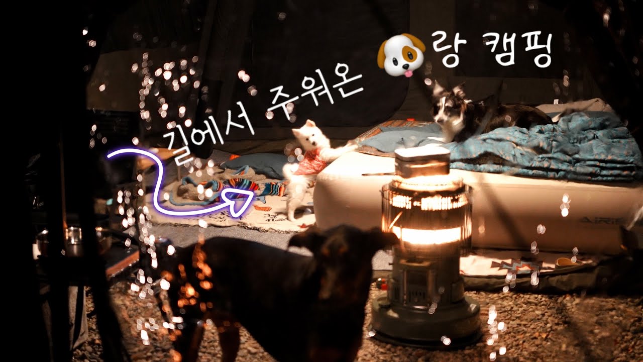 길에서 주워온 똥강아지와의 첫 캠핑 우리 잘 지낼 수 있을까?ㅣ여주 캠핑주막ㅣ에어노크 10.0st 타프도킹ㅣ파세코 무동력팬3
