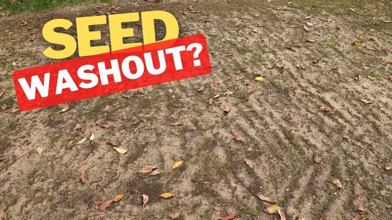 Renovation Disaster: How I Fixed My Washout Damage