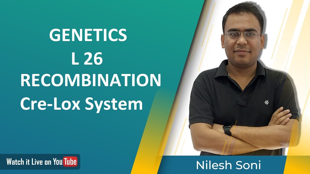 Recombination | Cross Over | Cre Lox System| Nilesh Soni