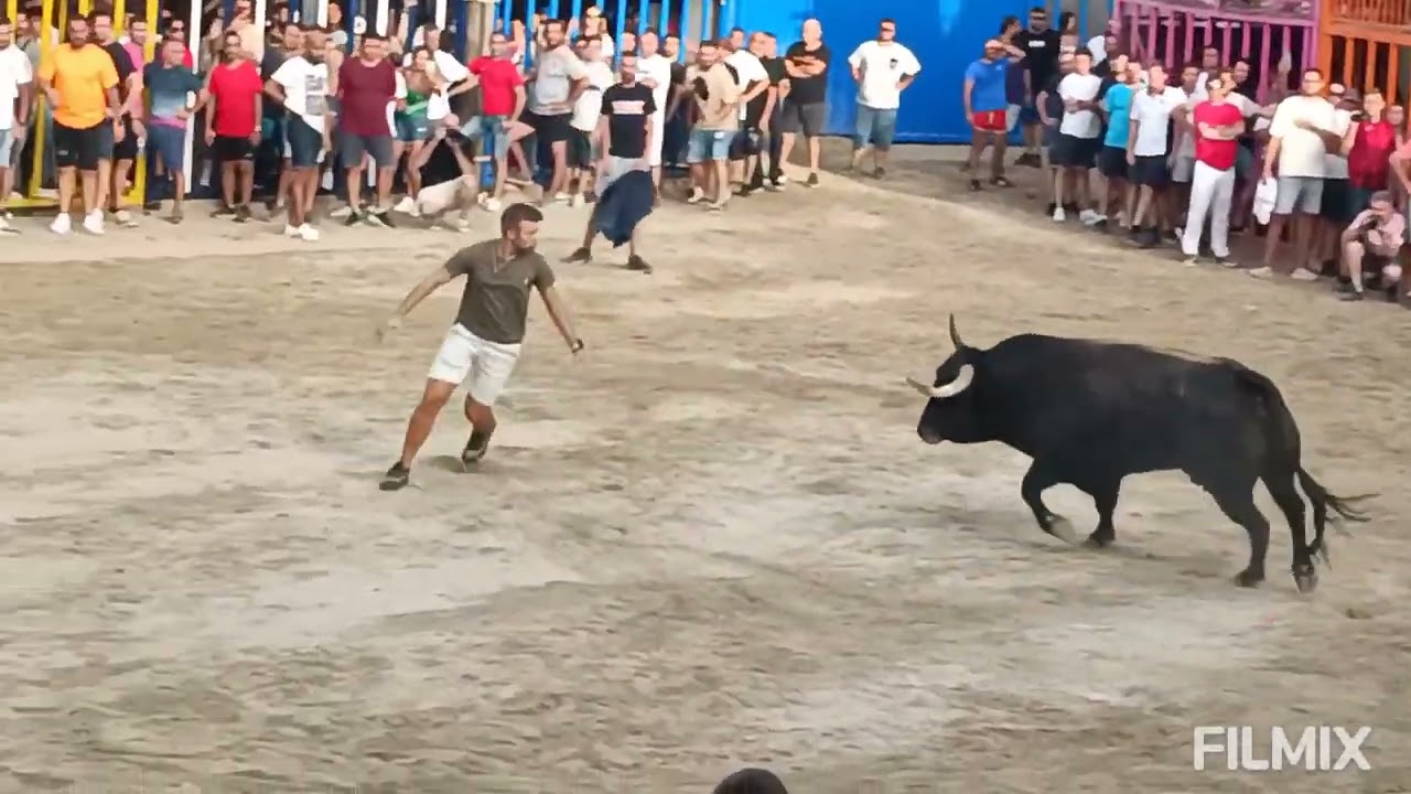 BURRIANA ( CS ) 31-8-2024 TOROS CERRILES DE VICTORIANO DEL RIO  - CARMEN VALIENTE Y  EL PARRALEJO