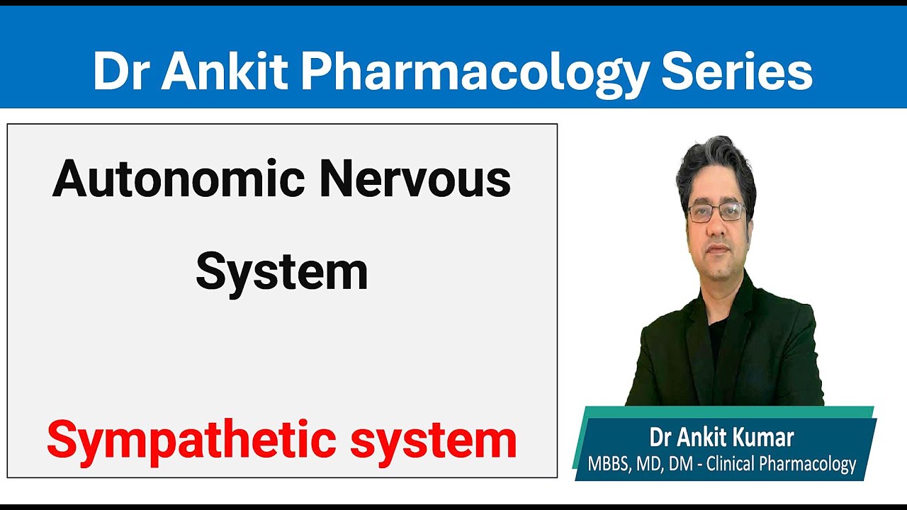 Autonomic Nervous system: Sympathetic system