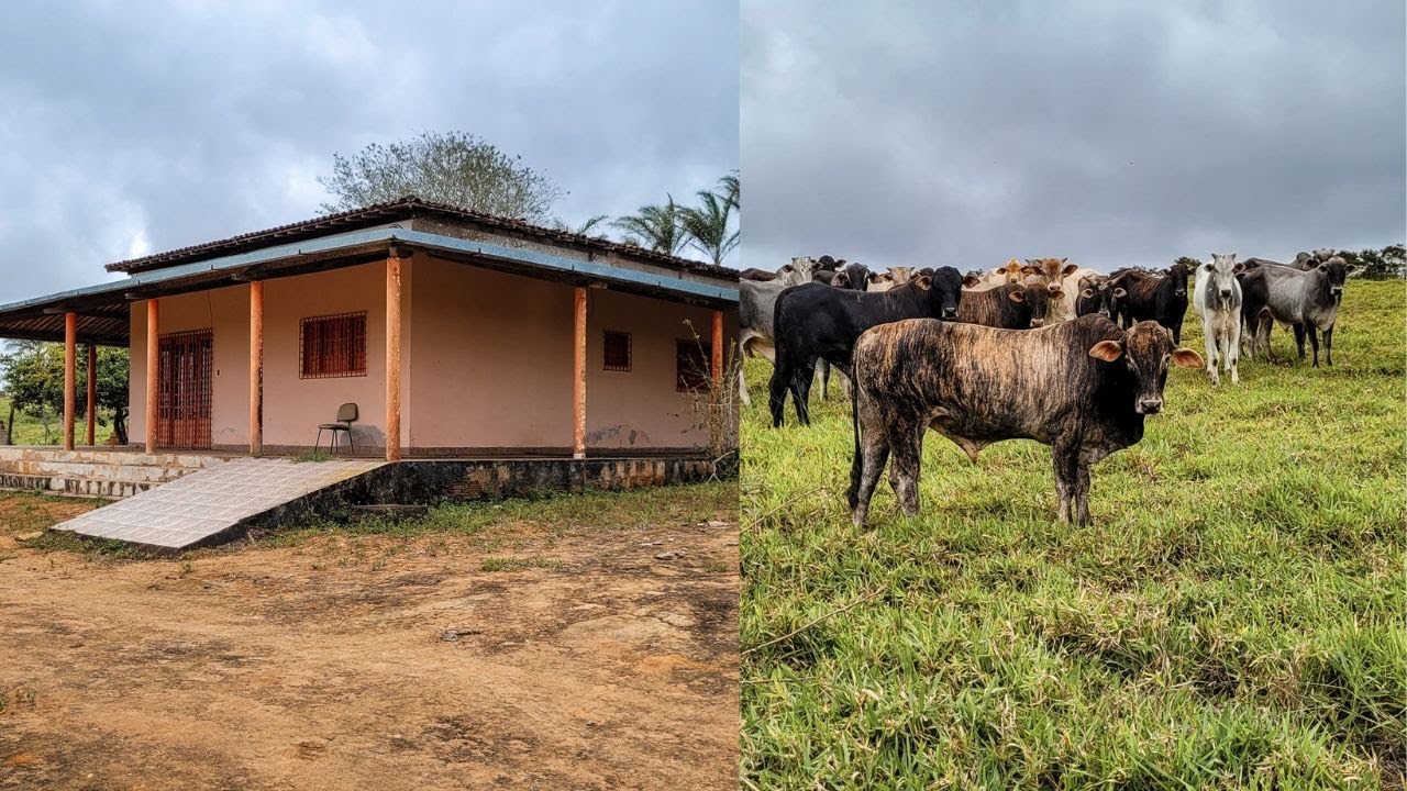 FAZENDA DE 80 HECTÁRES A VENDA EM CARUARU PE, LUGARA COM ÁGUA E TUDO MAIS!