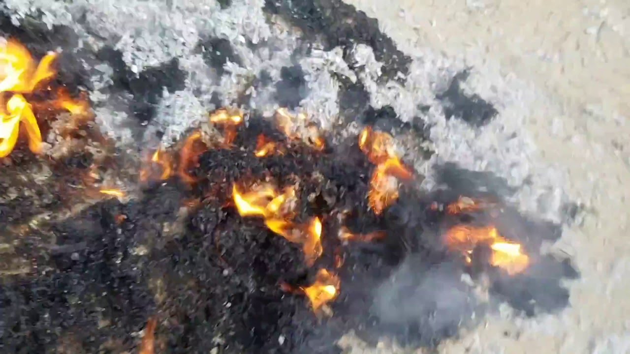 Papiruld fra ICELL VS ISOCELL